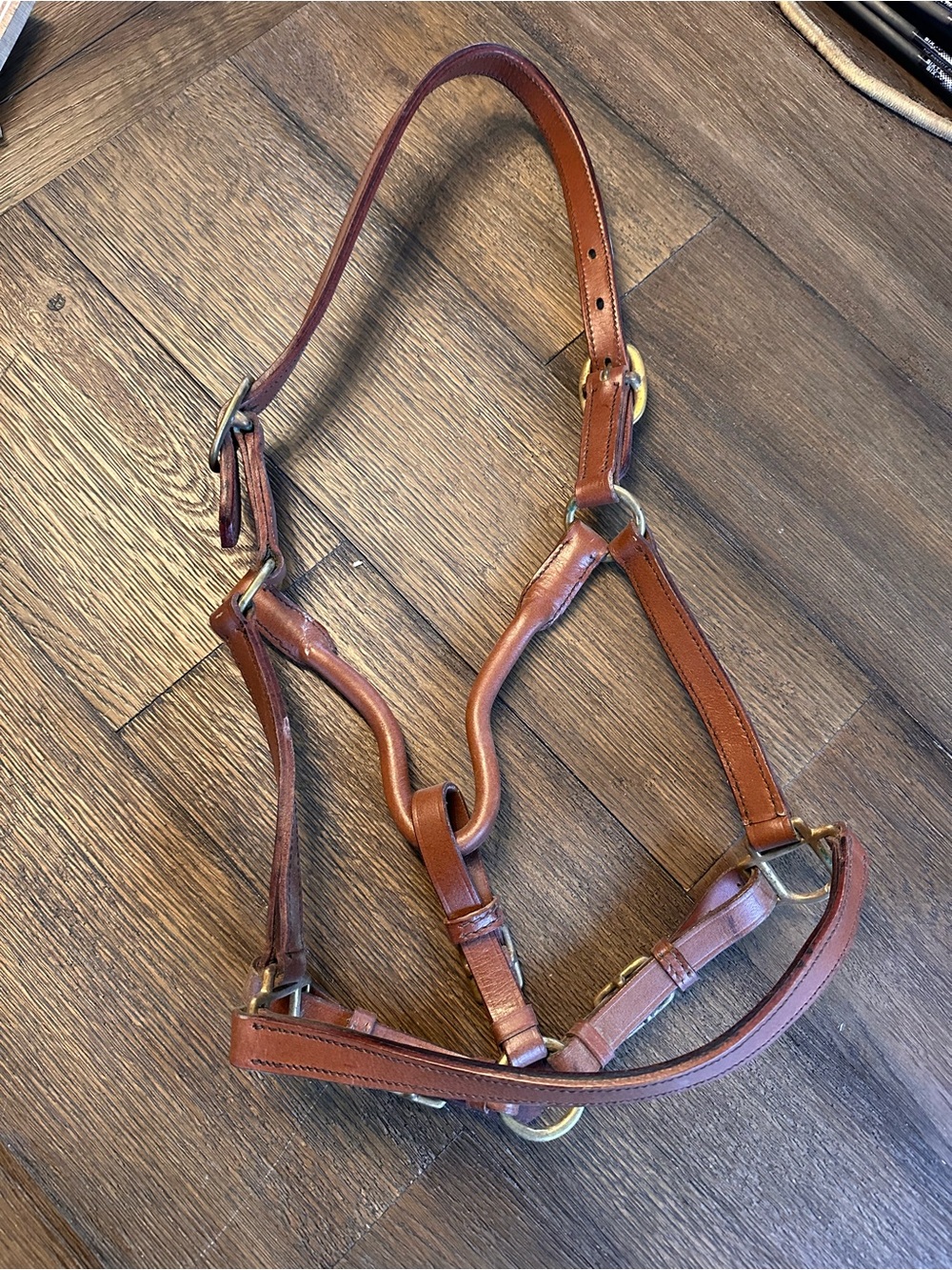 Pony Tack - Leather Halter